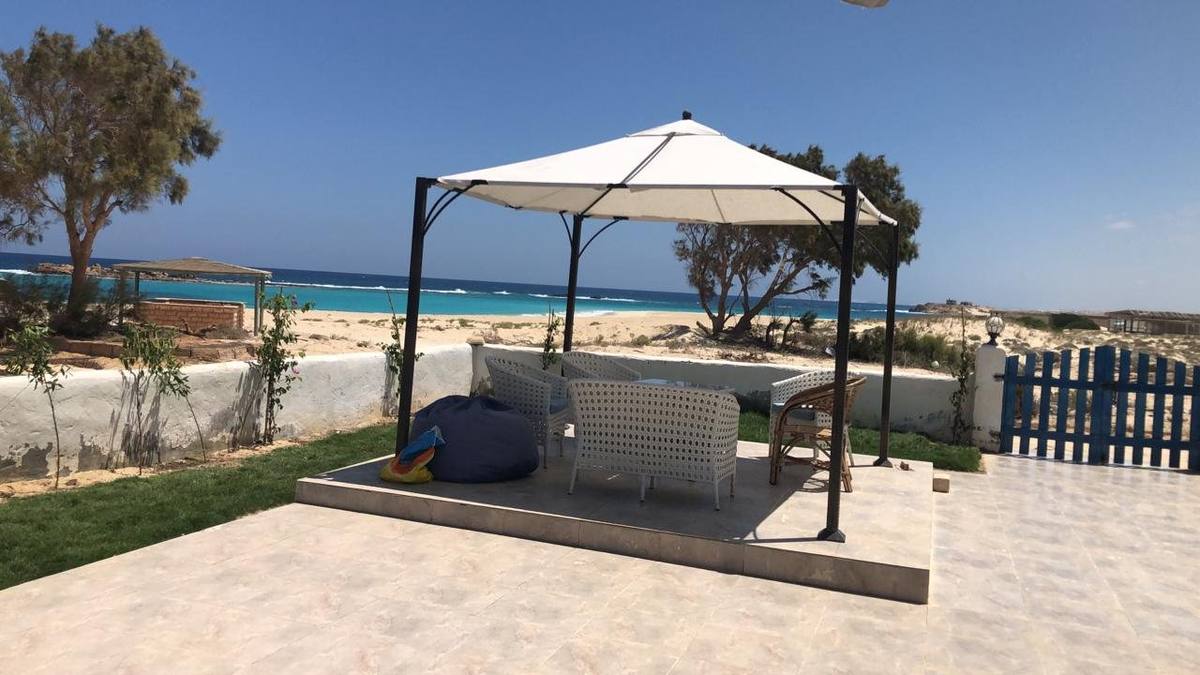 جازيبو في القرية على البحر، صورة سنة ٢٠٢٦